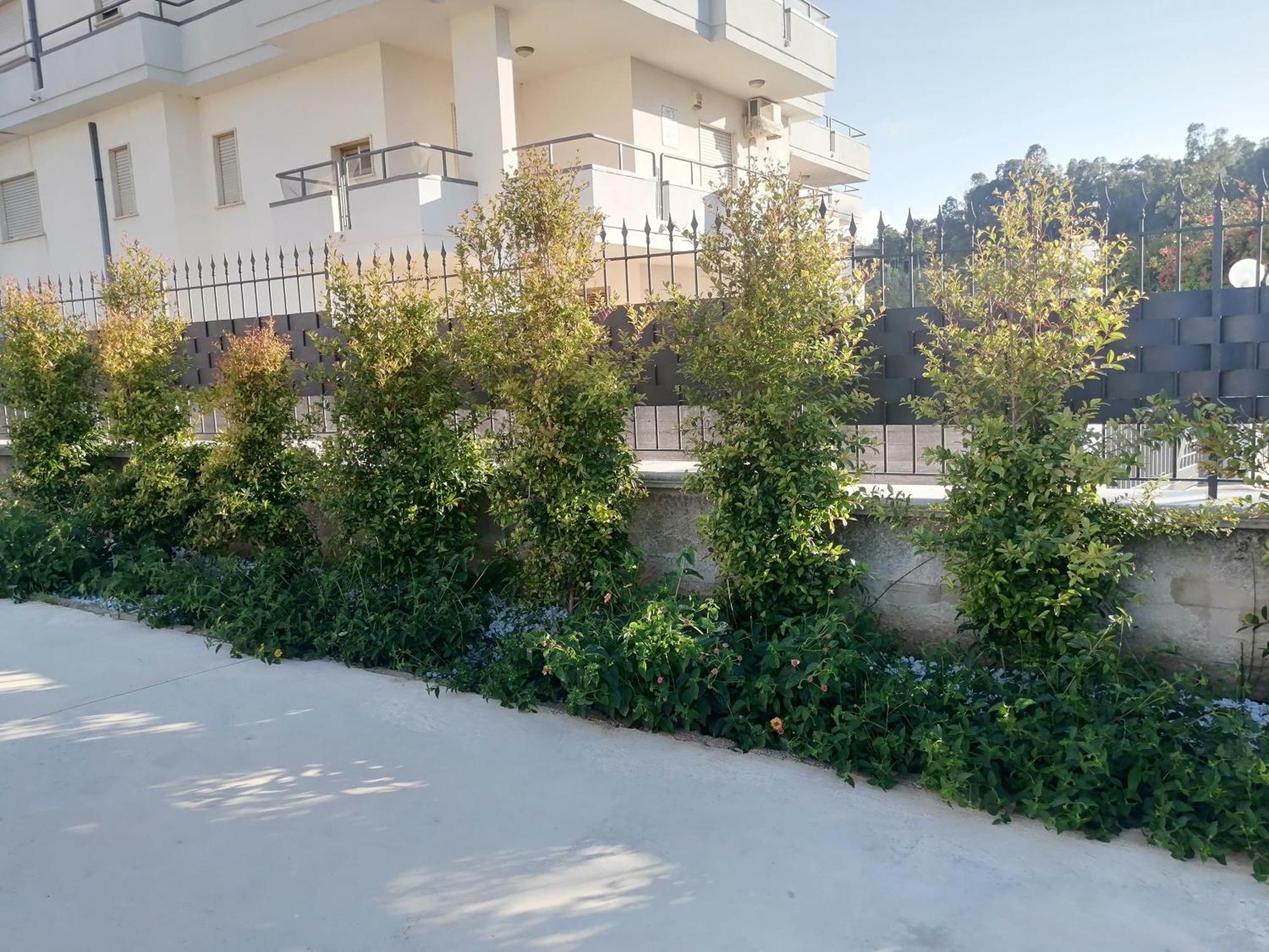 Residence Mare Azzurro Balestrate Exterior foto